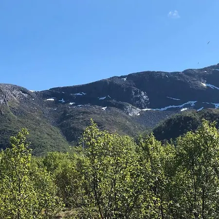 Cabin In Lofoten Lyngedal